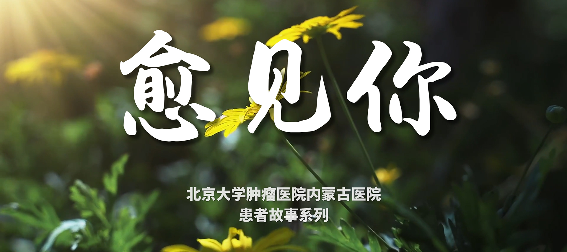 愈见你——患者故事 邢宝才 结直肠肝转移