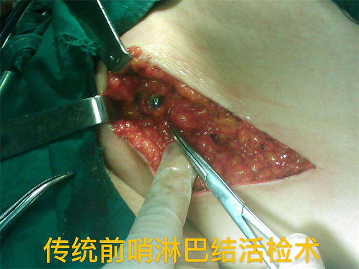 e9485bb3-08d2-42a0-896d-40e9bd3cb470.jpg