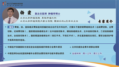 杨  宏.jpg