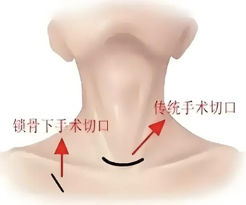 微信图片_20250411183118.png
